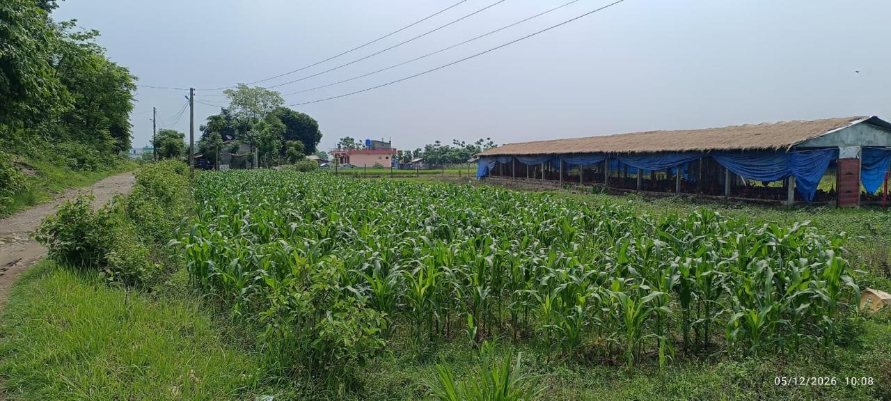 land at Kawasoti